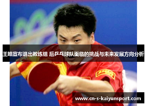 王皓宣布退出教练组 后乒乓球队面临的挑战与未来发展方向分析